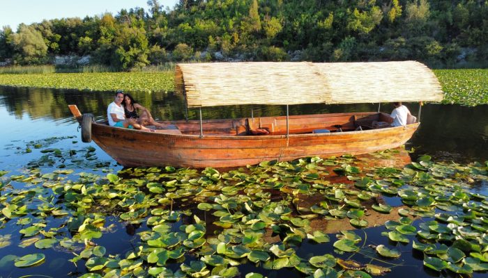 fde1893e-4ac1-40b9-857b-59eecbcf764b 2