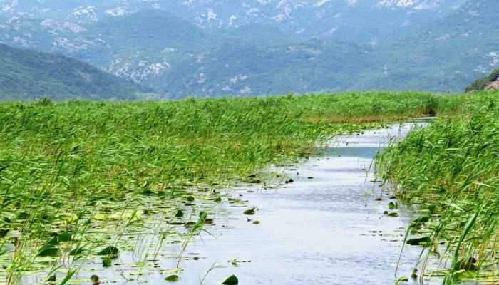 skadar-lake-2