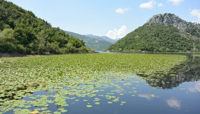 skadar-lake-6